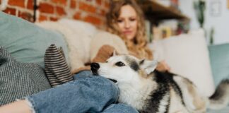 10 Pawsome Tips for Keeping Your House Pet-Friendly and Clean